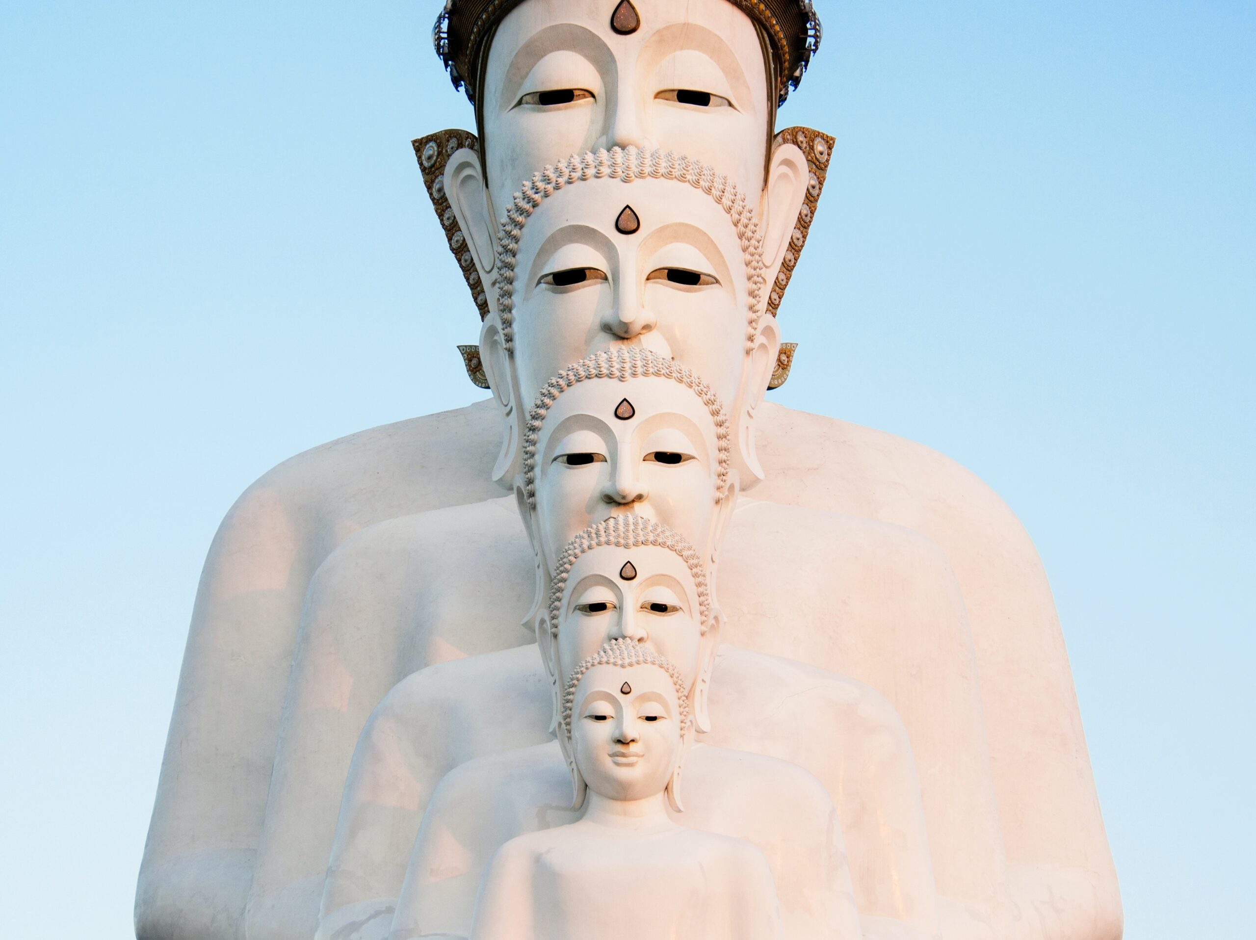 buddha head growth