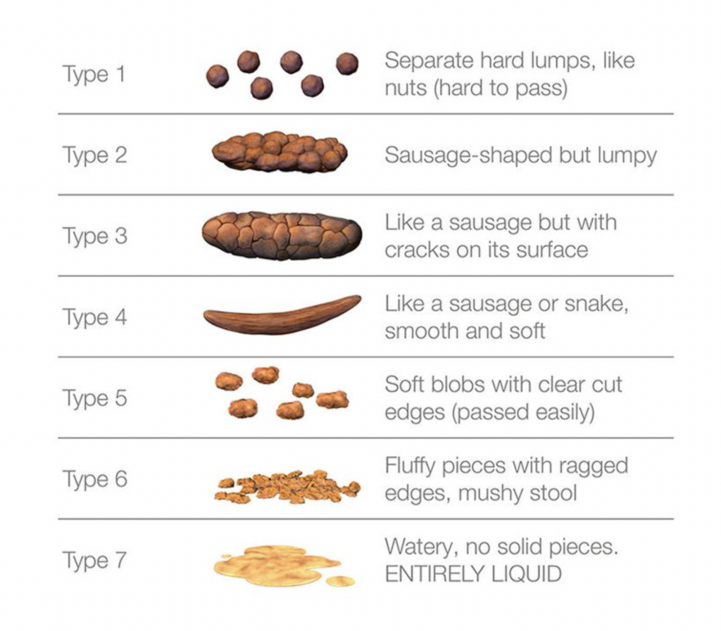 bristol stool chart